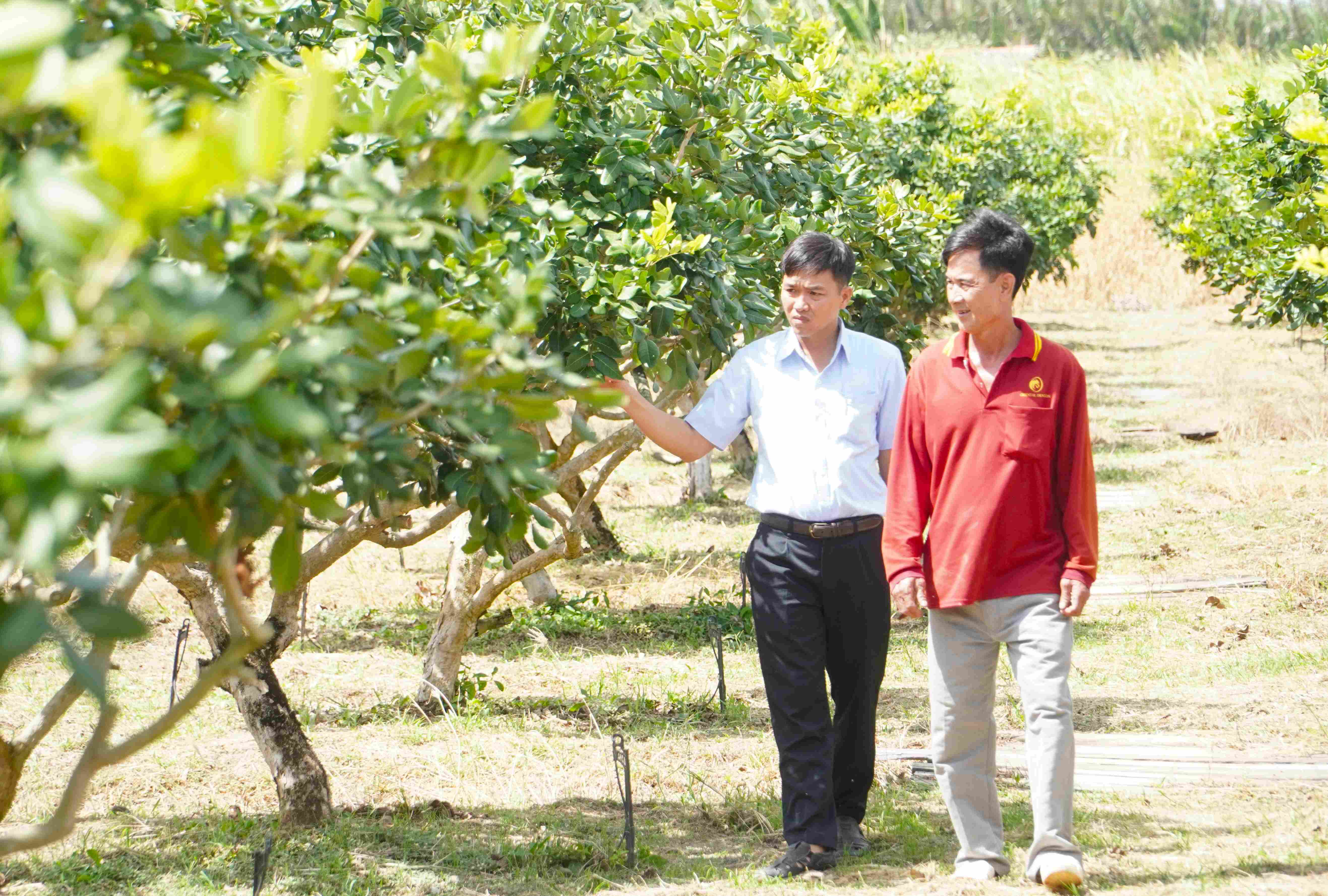 Can Tho embraces nature-based agriculture through international partnerships